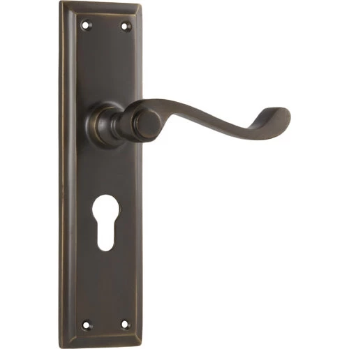 TRADCO DOOR LEVER MILTON PAIR - Image 2
