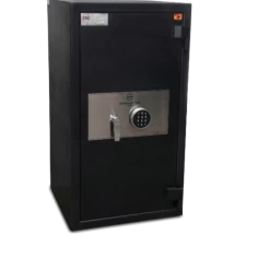 DOMINATOR DRUG SAFE PH-2