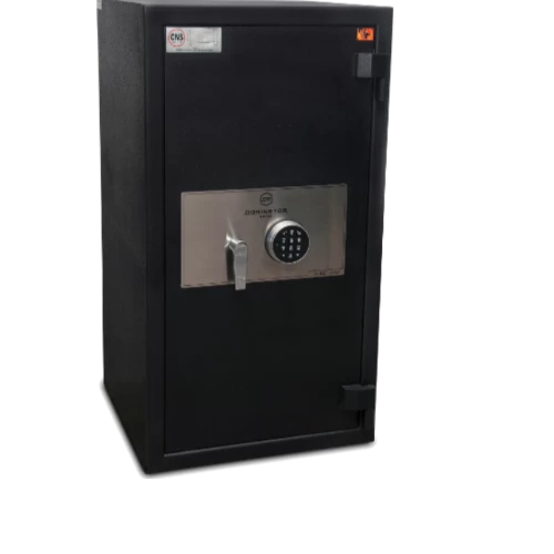 DOMINATOR DRUG SAFE PH-2