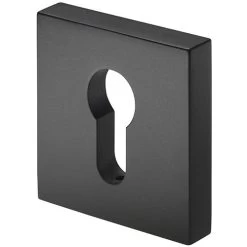 GAINSBOROUGH EURO CYLINDER ESCUTCHEON